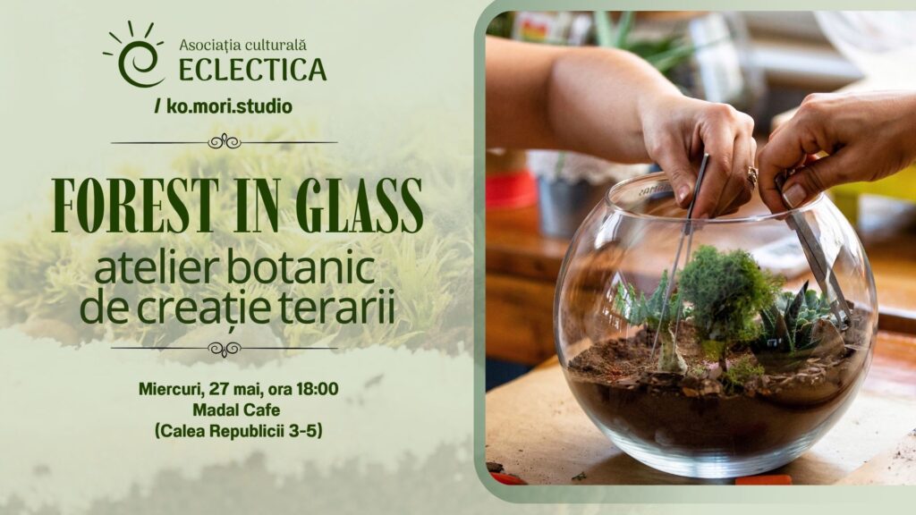 Banner for Eclectica's 'Forest in Glass' terrarium workshop; hands arrange plants inside a round glass terrarium on the right.